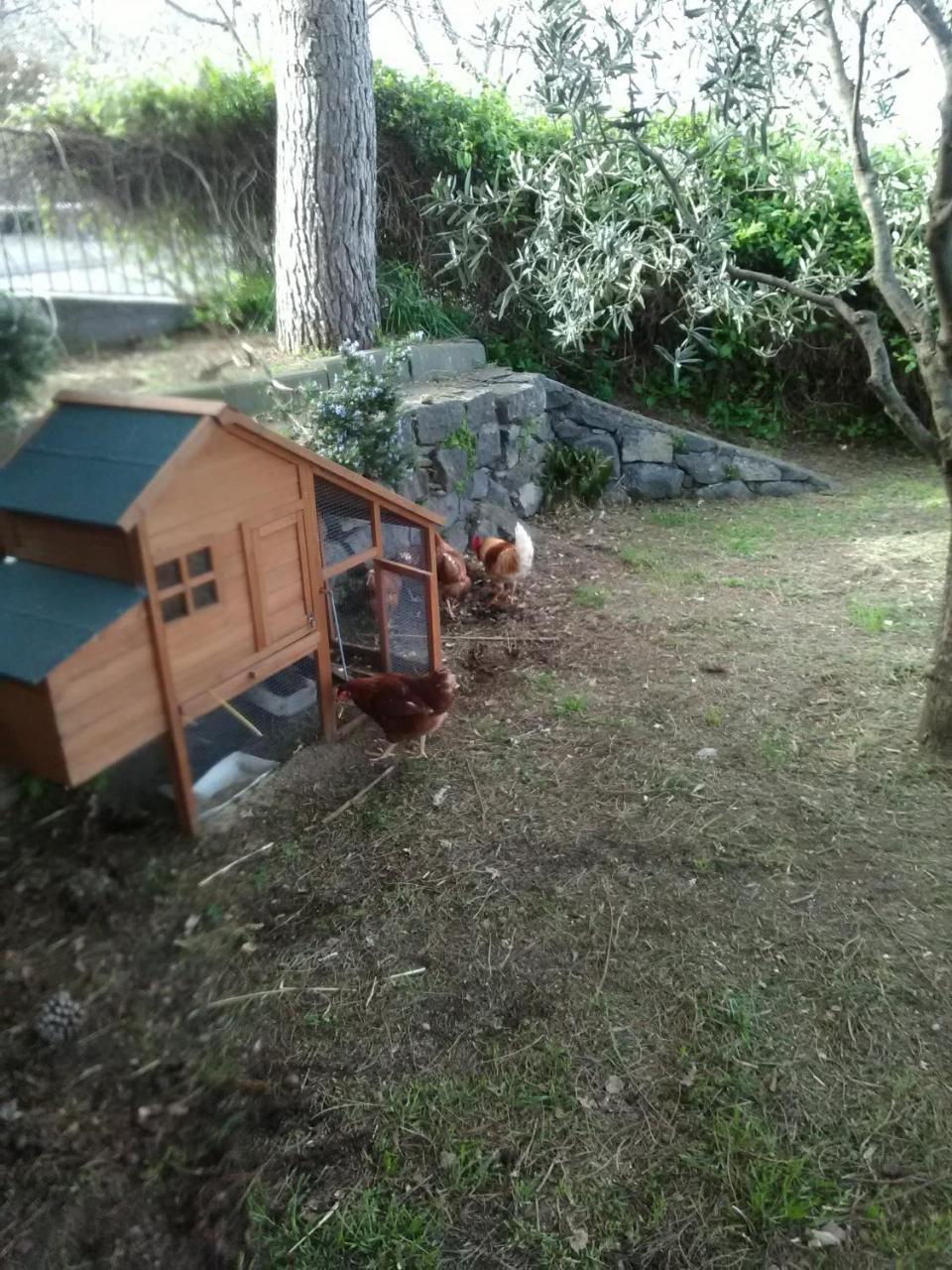Villa La Pietra Antica O' Munti Mascali Exterior foto