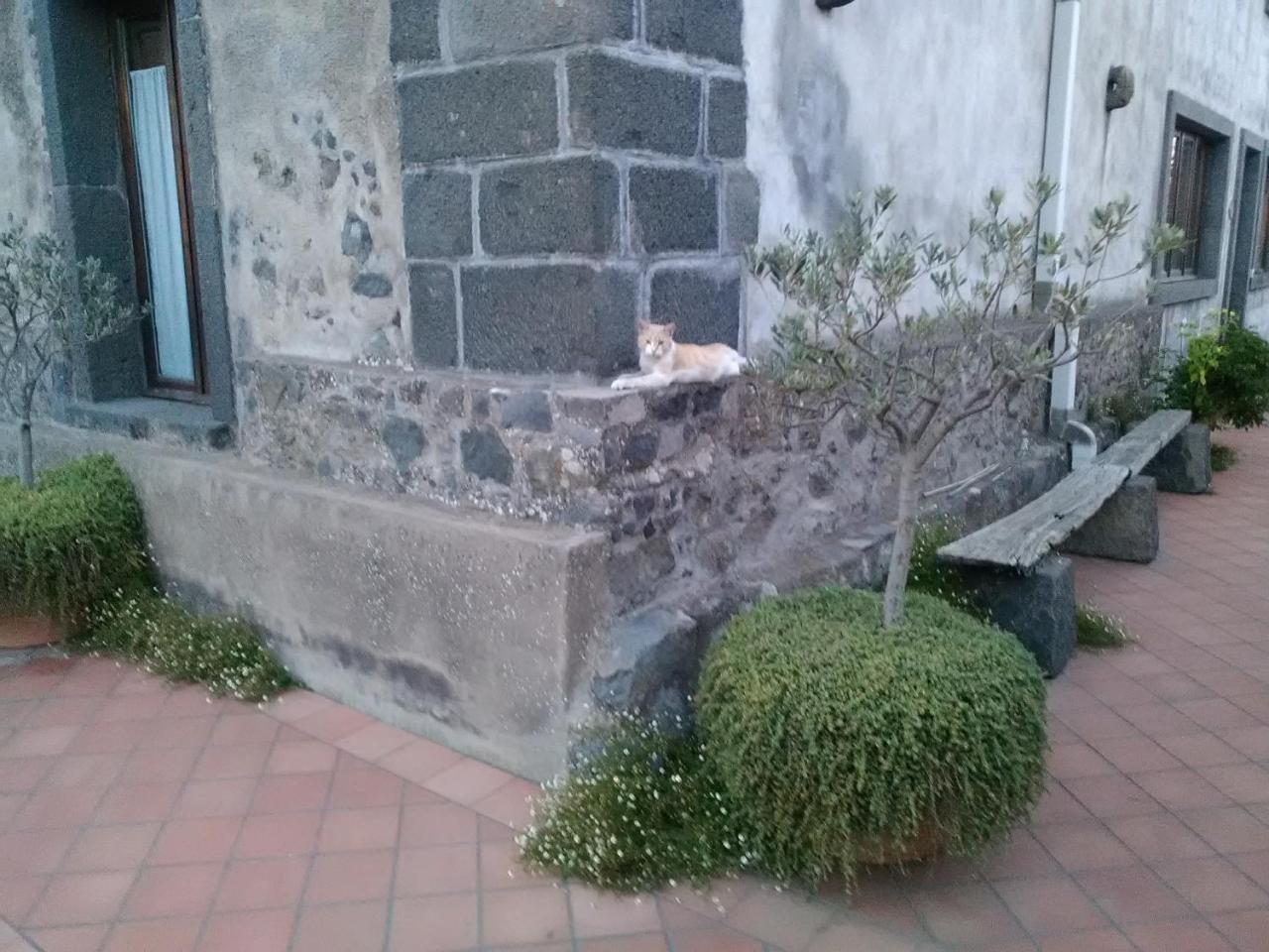 Villa La Pietra Antica O' Munti Mascali Exterior foto